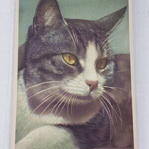 Alma Alfred Mainzer Cat Postcard Brown White Tabby Kitty Feline Printed Belgium